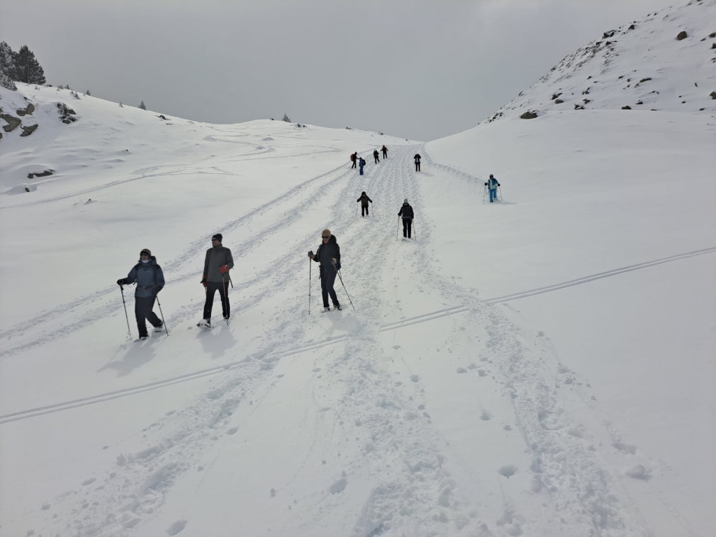 IMG-20250302-WA0105