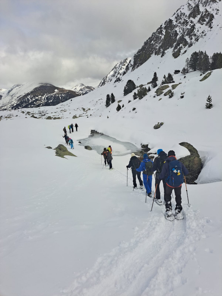 IMG-20250302-WA0108